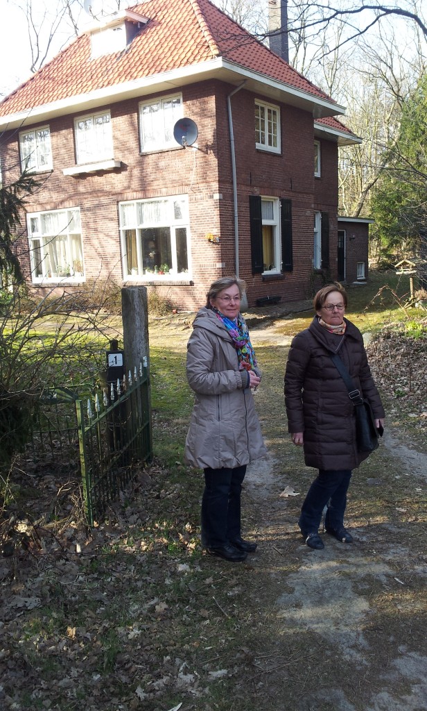Wievenveld_2013